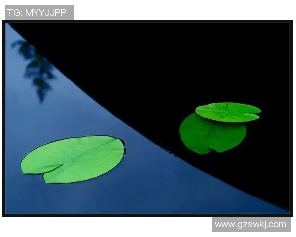 萨林杰的文学世界与心灵探索:从麦田里的守望者看人生的孤独与追寻